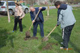 День древонасаждения&raquo;