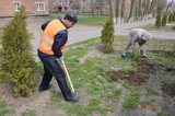 Месячник чистоты,  субботники