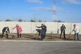 День древонасаждения