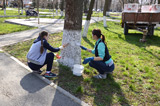 Весенний день древонасаждений