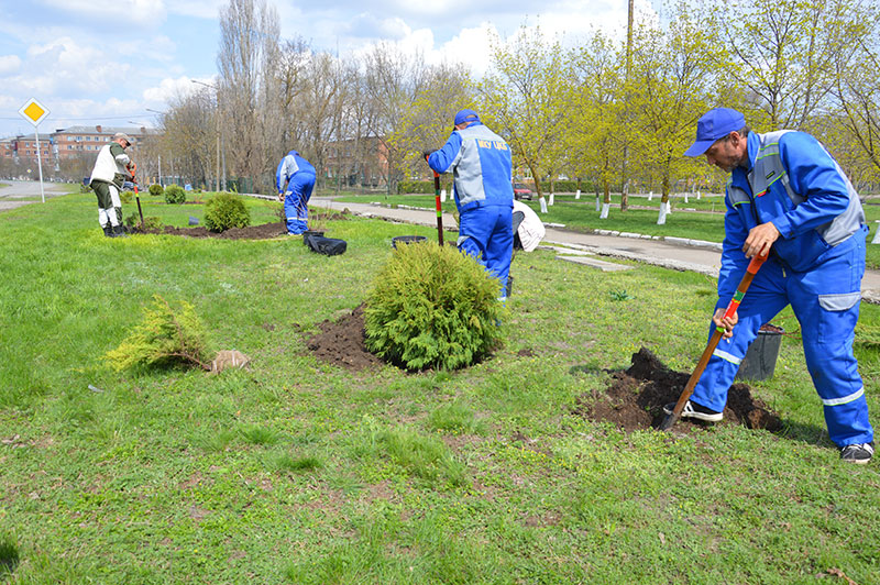 Благоустройство и озеленение города продолжается