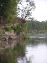 1268397046p6200096.jpg