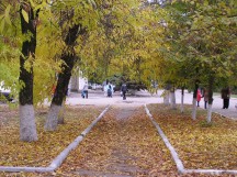 1268397069pa233696.jpg