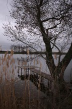 1268397102izobrazhenie-1028.jpg