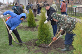День древонасаждения