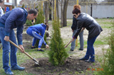 День древонасаждения&raquo;