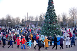 Новогодний праздник у главной елки города