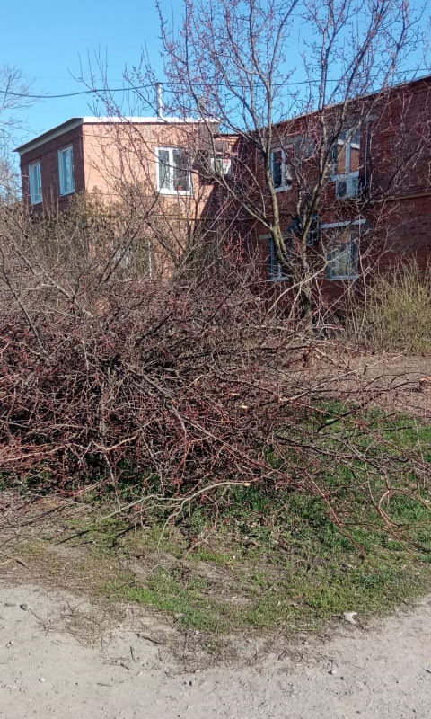  Правила благоустройства обязательны для всех 