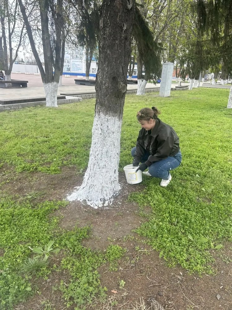 Месячник чистоты и порядка в Семикаракорске продолжается